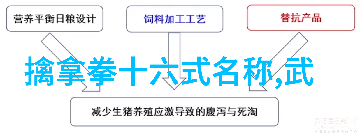 赵氏玄门逍遥桩绝世武林三清幽帮之巅峰拳种