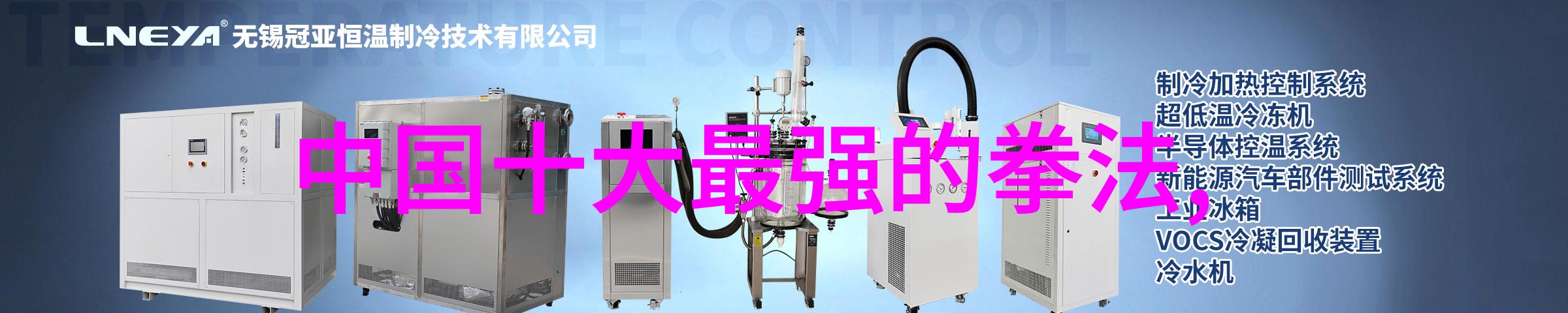 春风公会咏春拳技法与艺术简介