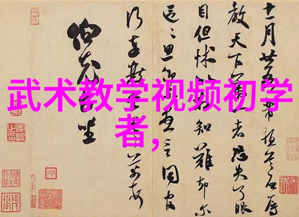 武术界震惊知名平台彻底禁止武术内容