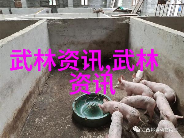 女子掌门的佛汉拳秘籍隐藏于古旧书架之中等待着有缘人揭开其武学奥秘