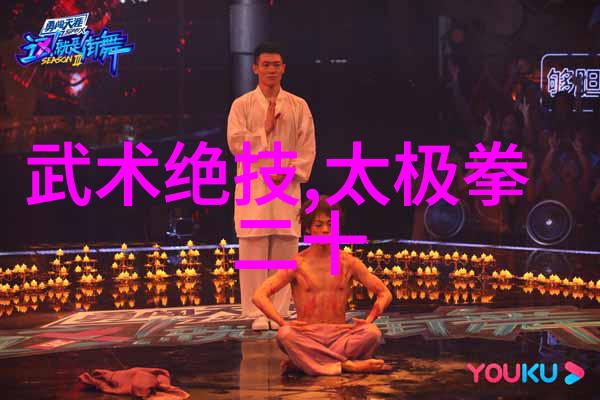 内家外家对话中国武术十大门派的区别与融合