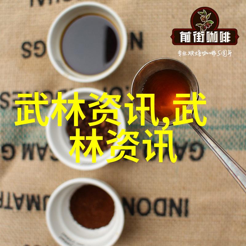 德国自驾团入境为奥运加油