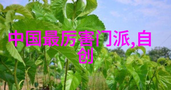 武功秘籍网太极拳练习原则赵宪平指南
