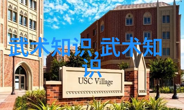 天龙秘籍武功口诀