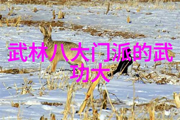 中国武术的尖峰揭秘内功与外形的完美结合