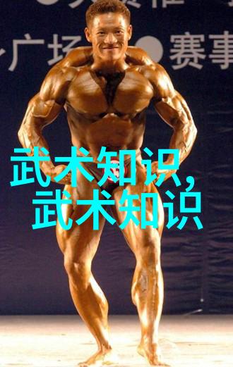 空手道剑法拳法多样化的武功自学选择