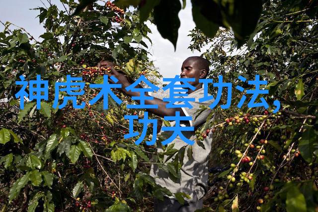 游戏文化策略之心重塑王国