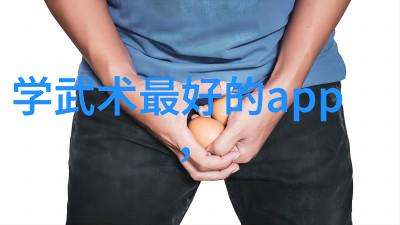刀剑神功武林中著名的刀法门派