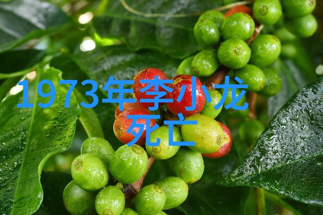 在旅游行业中六大门派又是如何吸引游客并从中获利的