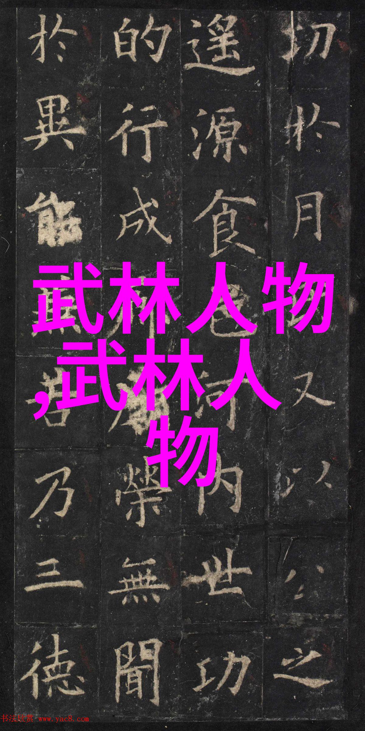 武林绝学功夫大全招式拳法内含精华技巧与秘籍