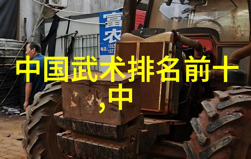 探秘安徽武林门派揭秘古老武学的源流与传承