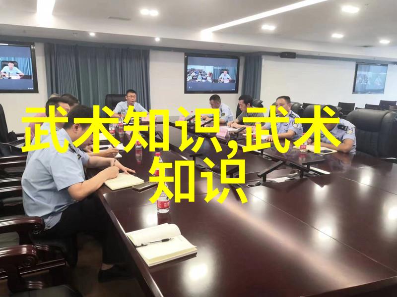 中国武术之美揭秘中华拳法的精髓与魅力