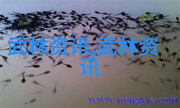 武林秘籍大全中的奇门遁甲之谜揭开千年神功的秘密