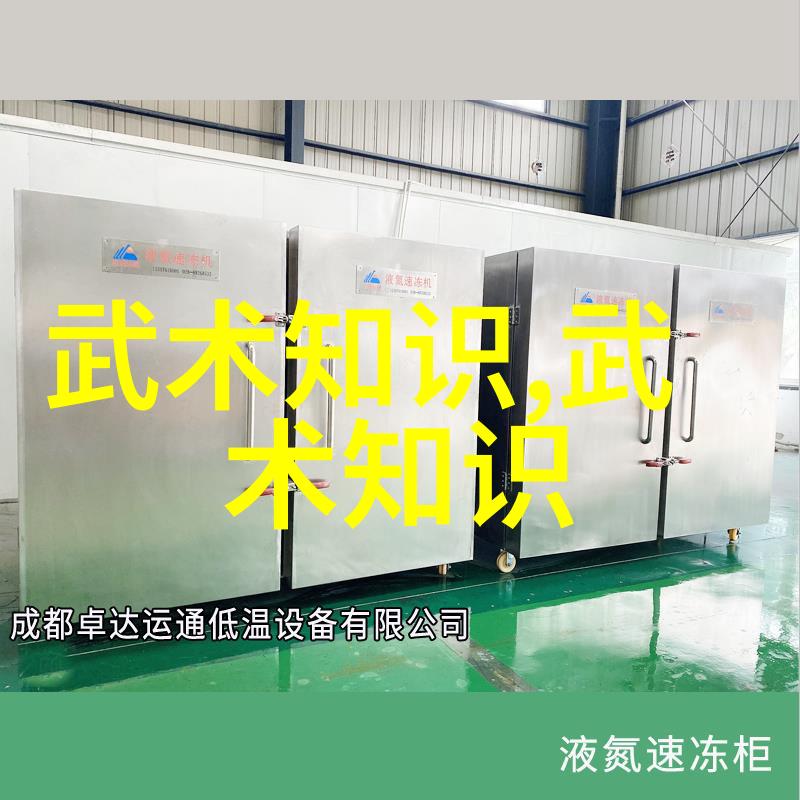 四十式太极拳视频带口令仿佛有着生命般的呼吸声让我们跟随其步伐深入理解掤劲的奥秘