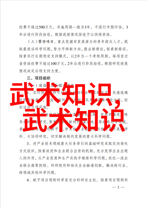 武道巅峰之探究揭秘世界上最强武功的奥秘武学绝学