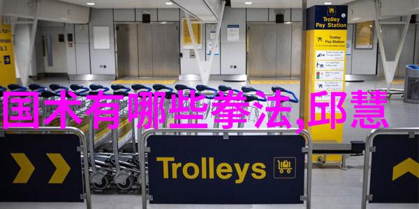 武林秘籍大解密揭秘顺势绝招