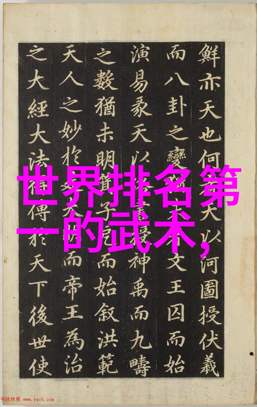 探究拳法之极致世界上最狠的拳术体系及其实战应用研究
