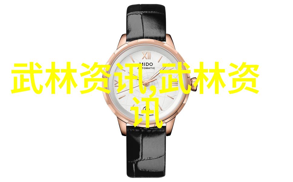 古籍中的奇特武功究竟是哪个门派将其发扬光大