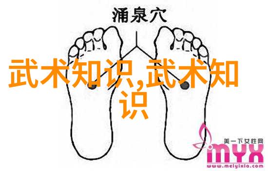 中国武术门派全集探索30个流派的精髓与演变