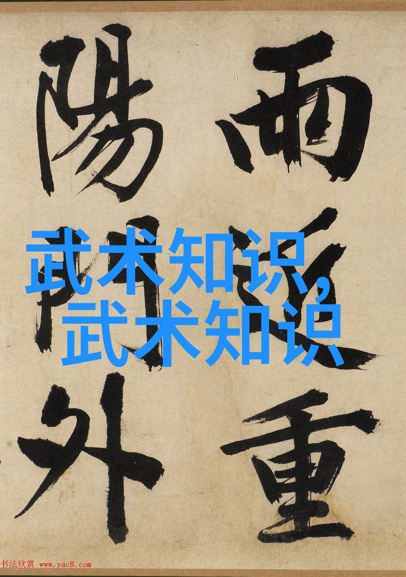 中国十大最强武术我看过的那些令人叹为观止的中华武艺