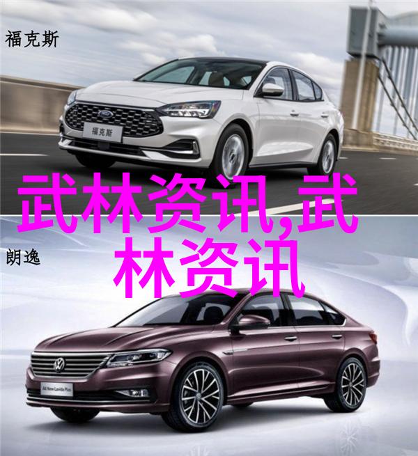 中国武学霸主云游四海的绝世高手