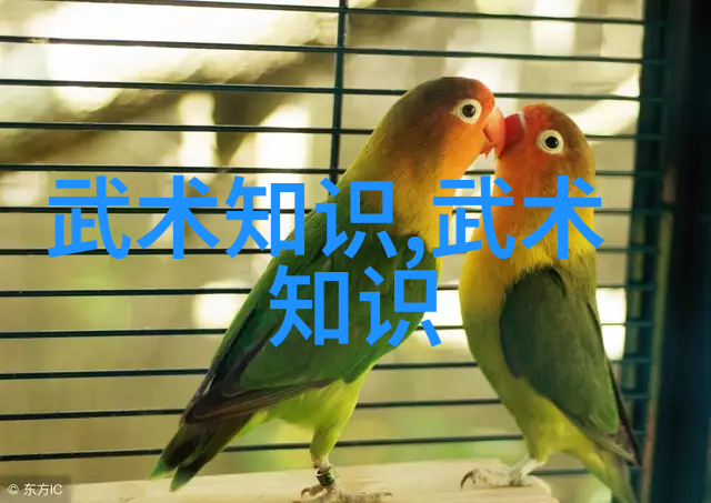 十七岁日本BD免费高清版我是如何在网上找到免费的高品质日本电影的