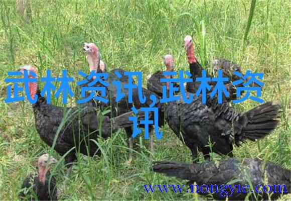 古风帮会-逆袭江湖寻访古风帮会的传奇