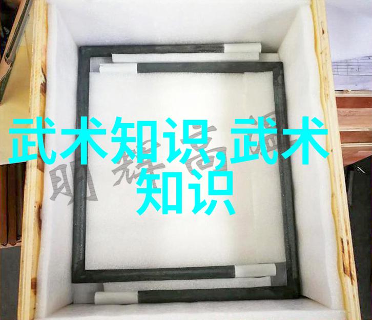 初学武术套路拳法揭秘基本招式与训练技巧