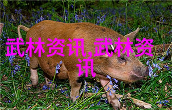 武艺启航探索最佳学习时机