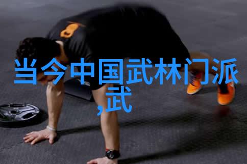 武林至尊揭秘中国武术之巅太极拳的奥秘与魅力