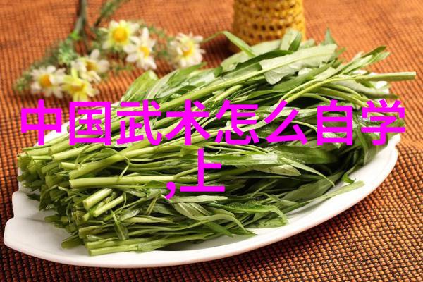 灵动猎人-追踪者灵动猎人的秘密世界