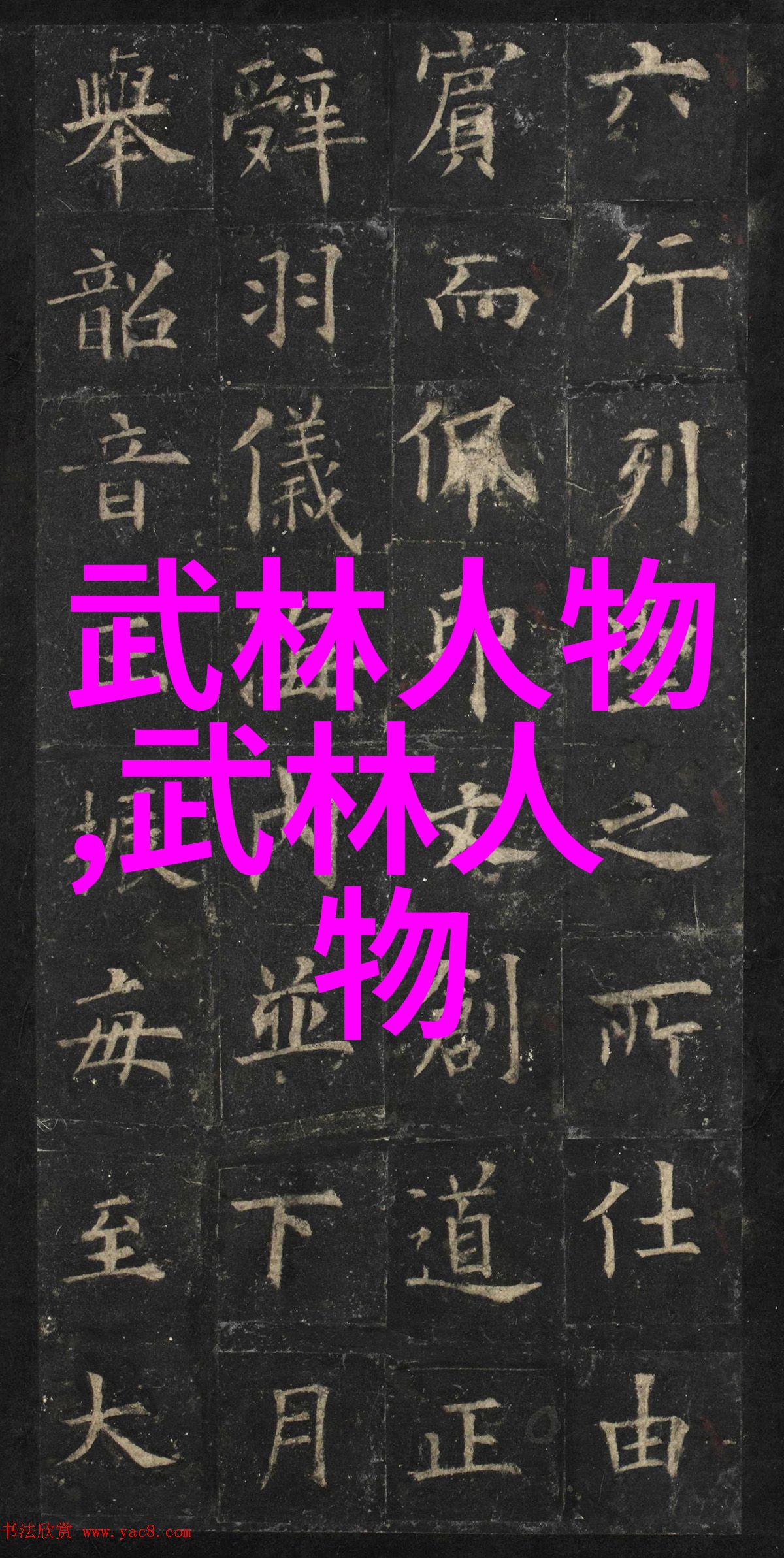华夏至尊探秘内功心法