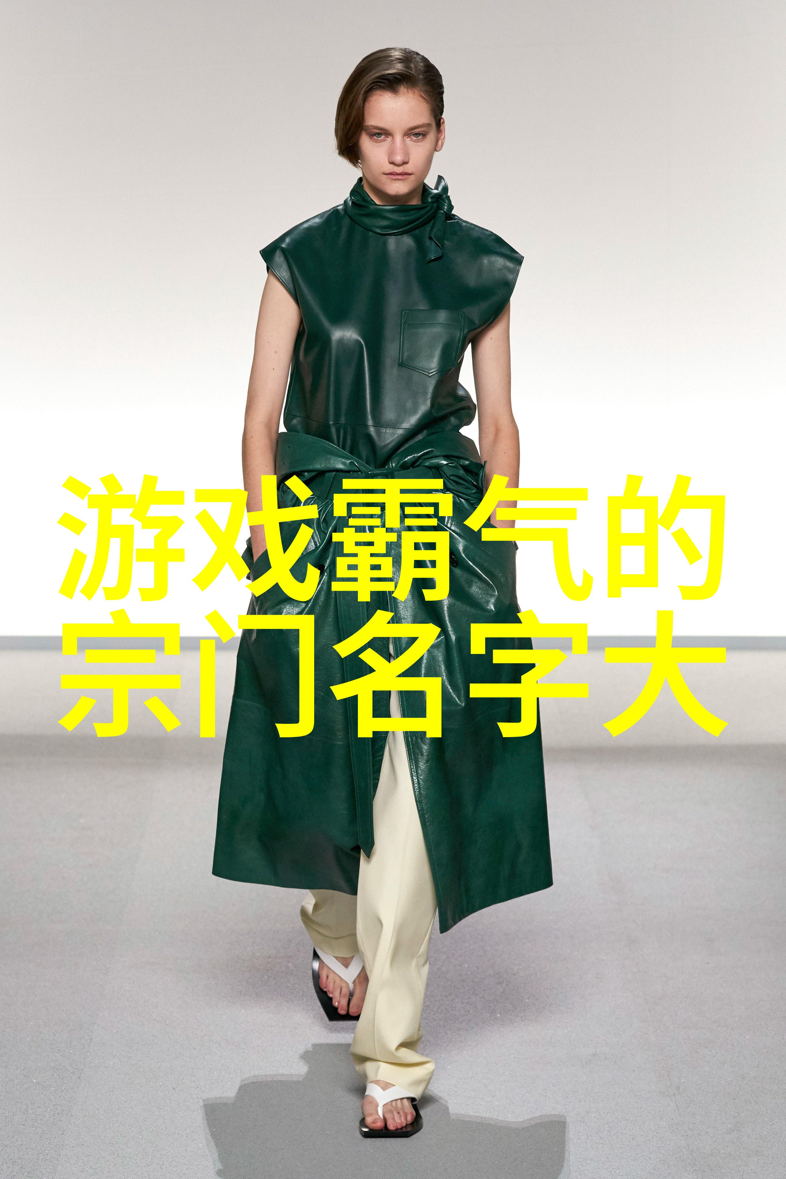 我来帮你找揭秘武林秘籍所有武功名称大全