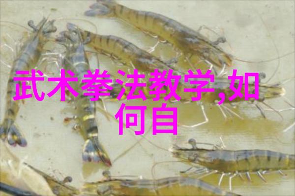在实战应用中咏春拳法如何应对多个敌人的攻击