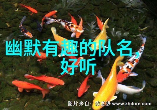 中国功夫秘籍大全-揭秘武林深处的内家外派技巧全集