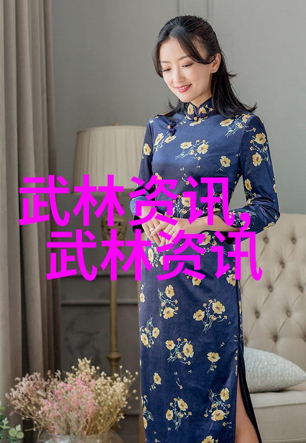 拳影辉煌南拳华拳之争