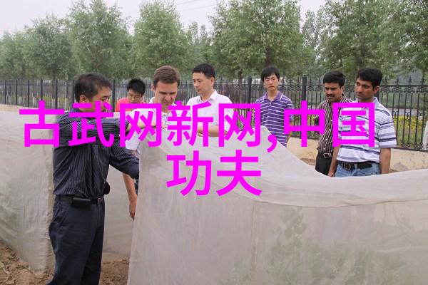翠华帮派绵拳古风掌门的柔韧之术