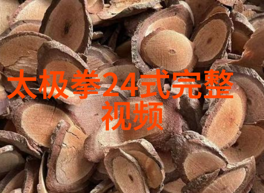 霸道街头黑翼联盟城市的守护者