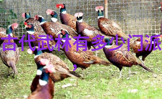 漫谈太极拳理论基础与48式全套视频带口令的实用性探讨-杨志英