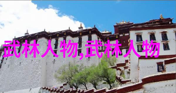 武林秘籍龙吟剑舞