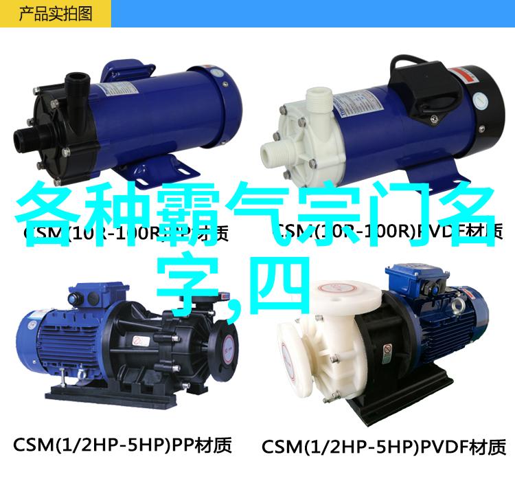 从小太极到大师级我国少林拳史话探索
