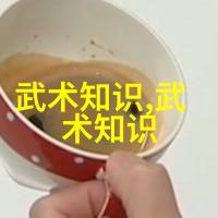 中国武术揭秘最具实战性的功夫技巧