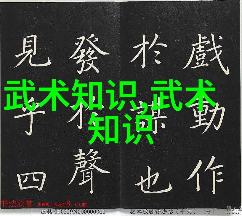 古秘奥术揭秘中国武功的神秘练习之道