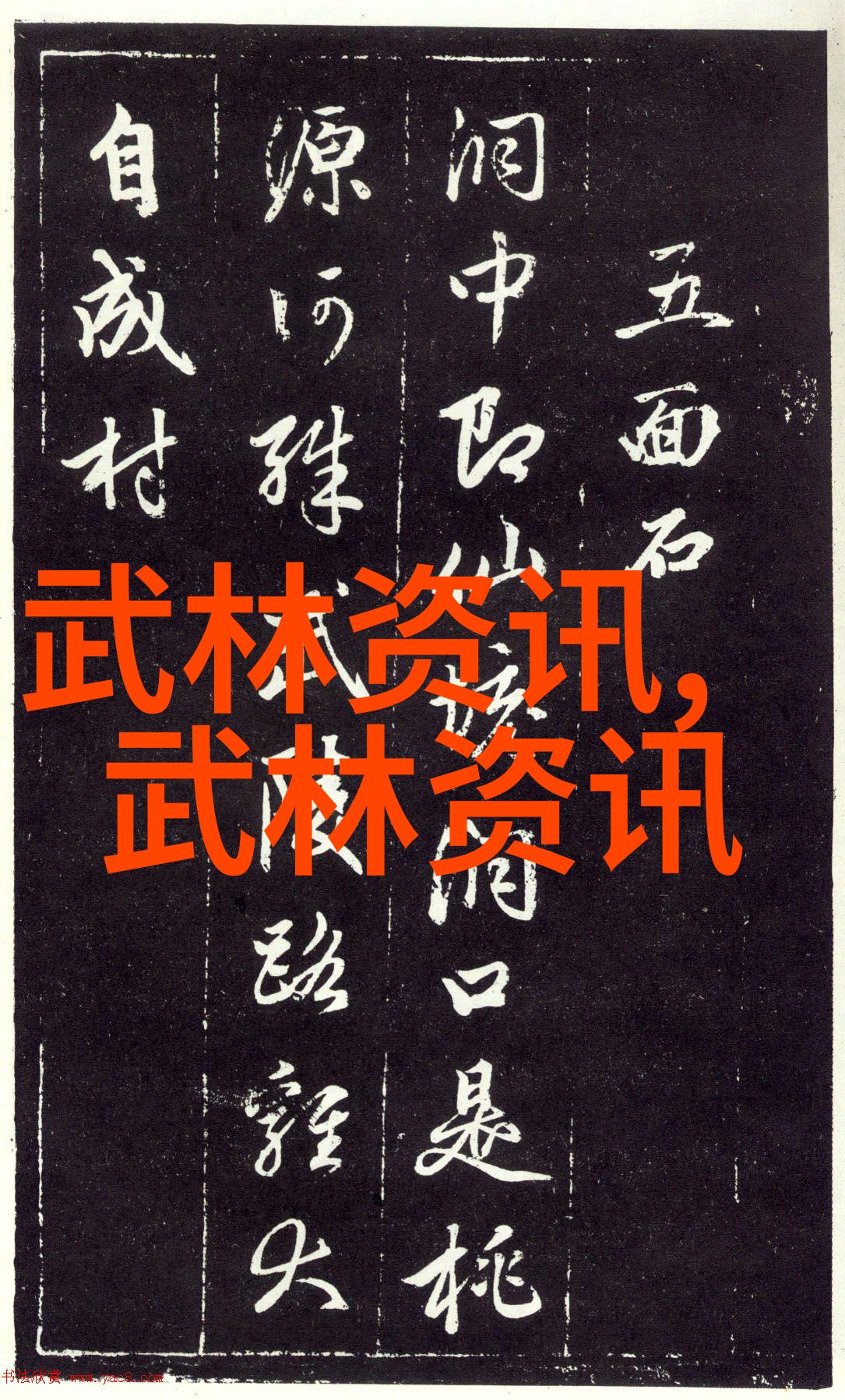 武林门派有掌门吗少林洪门武功的守护者