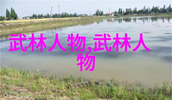 古代武术的修炼之道体验古人练功的智慧与魅力