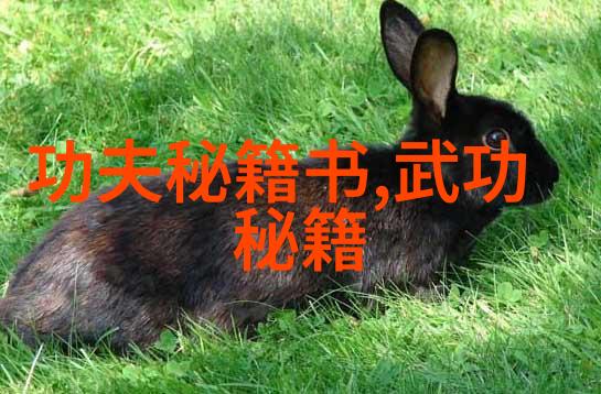 美国女子内衣橄榄球亚洲男子锦标赛香港惊心动魄两连胜