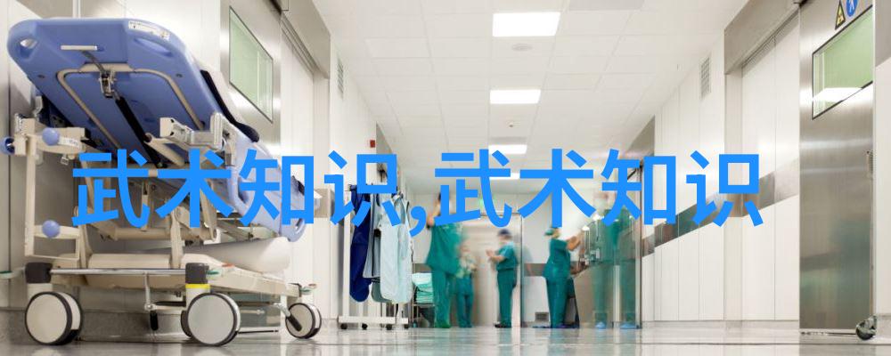 武功秘籍大全里的拳术究竟是什么
