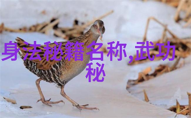 搞笑帮派联盟逗比大师的幽默帮派名单