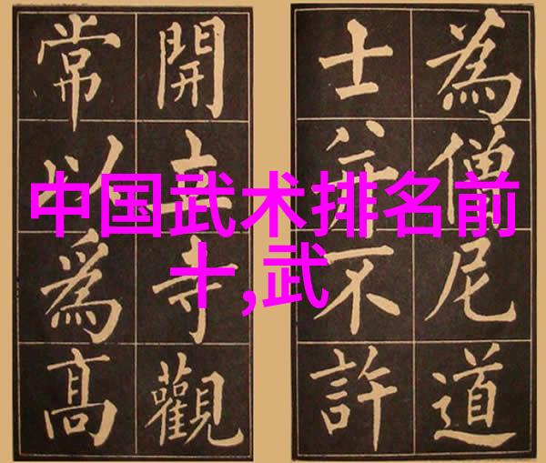 武术自学之路理论与实践的结合