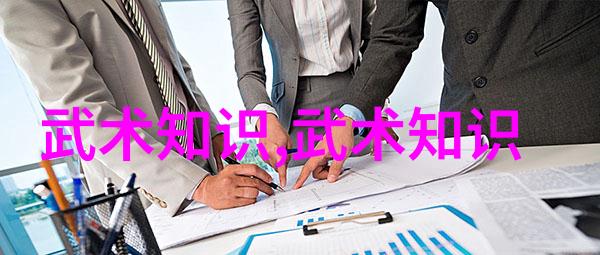 武林门派数据分析黑虎拳概述